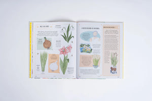 Grow: A first guide to plants and how to grow them by Rizaniño Reyes