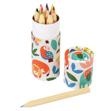 Load image into Gallery viewer, Colouring Pencils in cardboard tube, set of 12