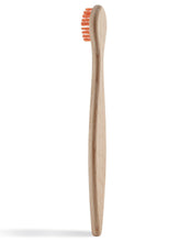 Load image into Gallery viewer, Beechwood Toothbrush - Kids Bristles