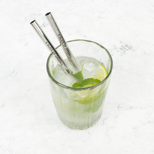 Set of Two Short Stainless Steel Straws with Brush