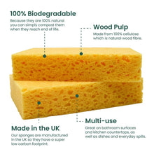 Load image into Gallery viewer, Compostable Sponges Pack of 2 by Ecovibe