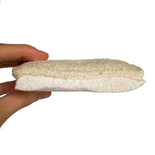 Load image into Gallery viewer, Compostable Sponge + Scourer Duo Pack by Ecovibe