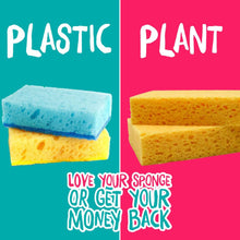 Load image into Gallery viewer, Compostable Sponges Pack of 2 by Ecovibe