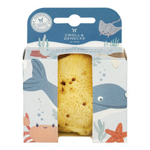 Load image into Gallery viewer, Baby Natural Sponge Gift Box by Croll & Denecke