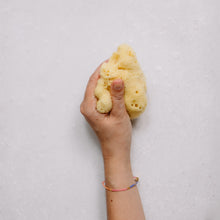 Load image into Gallery viewer, Baby Natural Sponge Gift Box by Croll & Denecke