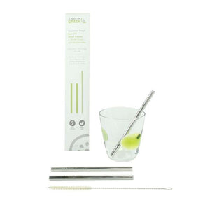 Set of Two Short Stainless Steel Straws with Brush