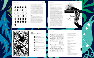 The Almanac: A Seasonal Guide to 2025 by Lia Leendertz