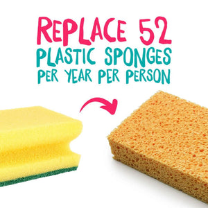 Compostable Sponges Pack of 2 by Ecovibe