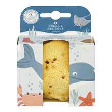 Load image into Gallery viewer, Baby Natural Sponge Gift Box by Croll &amp; Denecke
